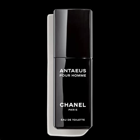 chanel antaeus 100ml price|chanel antaeus alternative.